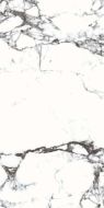 CR206
