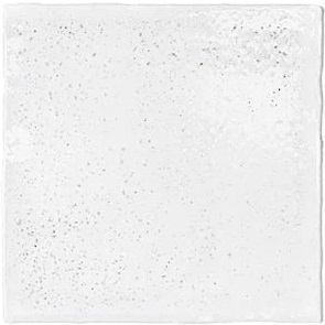 Equipe ALTEA Еqуипе АЛЬТЕА 10х10 см EQ27599