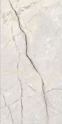 Ariana EPOQUE 21 Ариана ЭПОК 22 60х120 см PF60009343