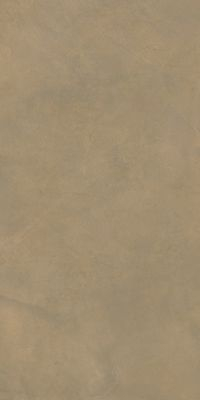 Ariana LUCE Ариана ЛЮЧЕ 60х120 см PF60006160