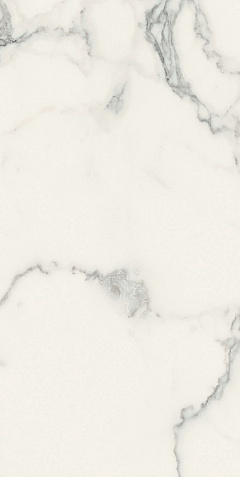 REX Ceramiche I CLASSICI DI REX РЕX Cерамиче И КЛАССИЧИ ДИ РЕКС 60х120 см 746588