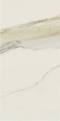 REX Ceramiche I CLASSICI DI REX РЕX Cерамиче И КЛАССИЧИ ДИ РЕКС 60х120 см 753296