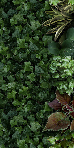 41ZERO42 PAPER41 41ЗЕРО42 ОБОИ41 50х100 см zer4100151