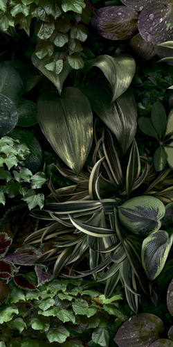 41ZERO42 PAPER41 41ЗЕРО42 ОБОИ41 50х100 см zer4100152