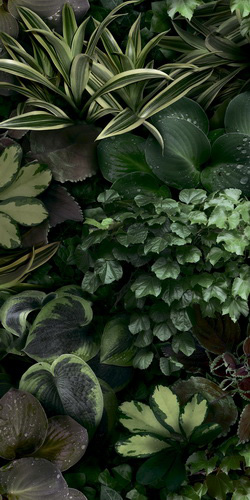 41ZERO42 PAPER41 41ЗЕРО42 ОБОИ41 50х100 см zer4100153