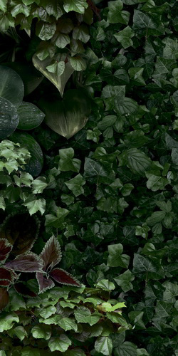 41ZERO42 PAPER41 41ЗЕРО42 ОБОИ41 50х100 см zer4100154