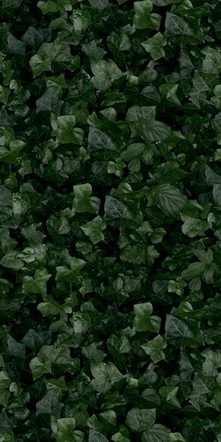 41ZERO42 PAPER41 41ЗЕРО42 ОБОИ41 50х100 см zer4100155