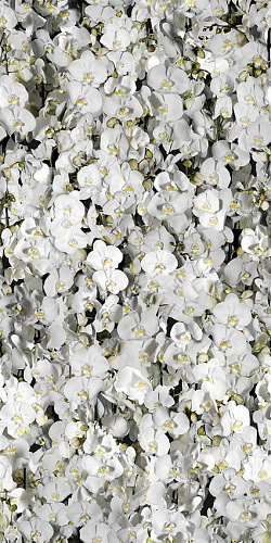 41ZERO42 PAPER41 41ЗЕРО42 ОБОИ41 50х100 см zer4100287