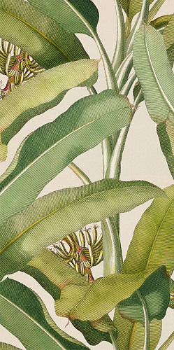 41ZERO42 PAPER41 41ЗЕРО42 ОБОИ41 50х100 см zer4100336