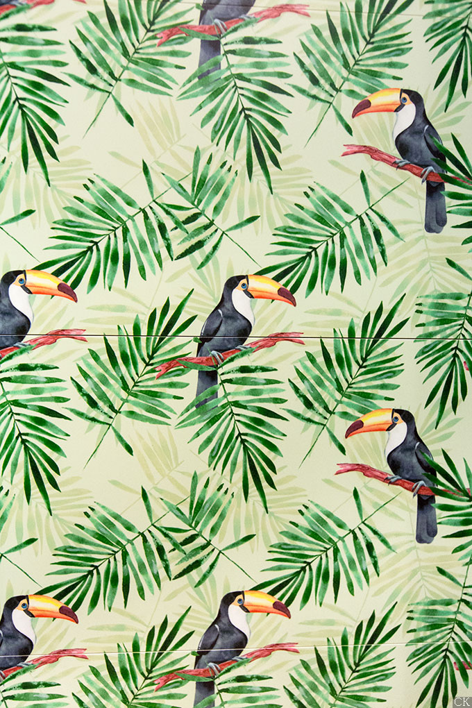 Плитка с туканами Markham Aparici